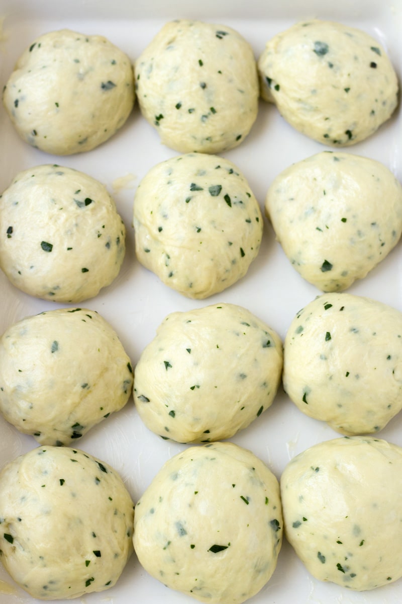 Bread Dough Resting for Herb Dinner Rolls