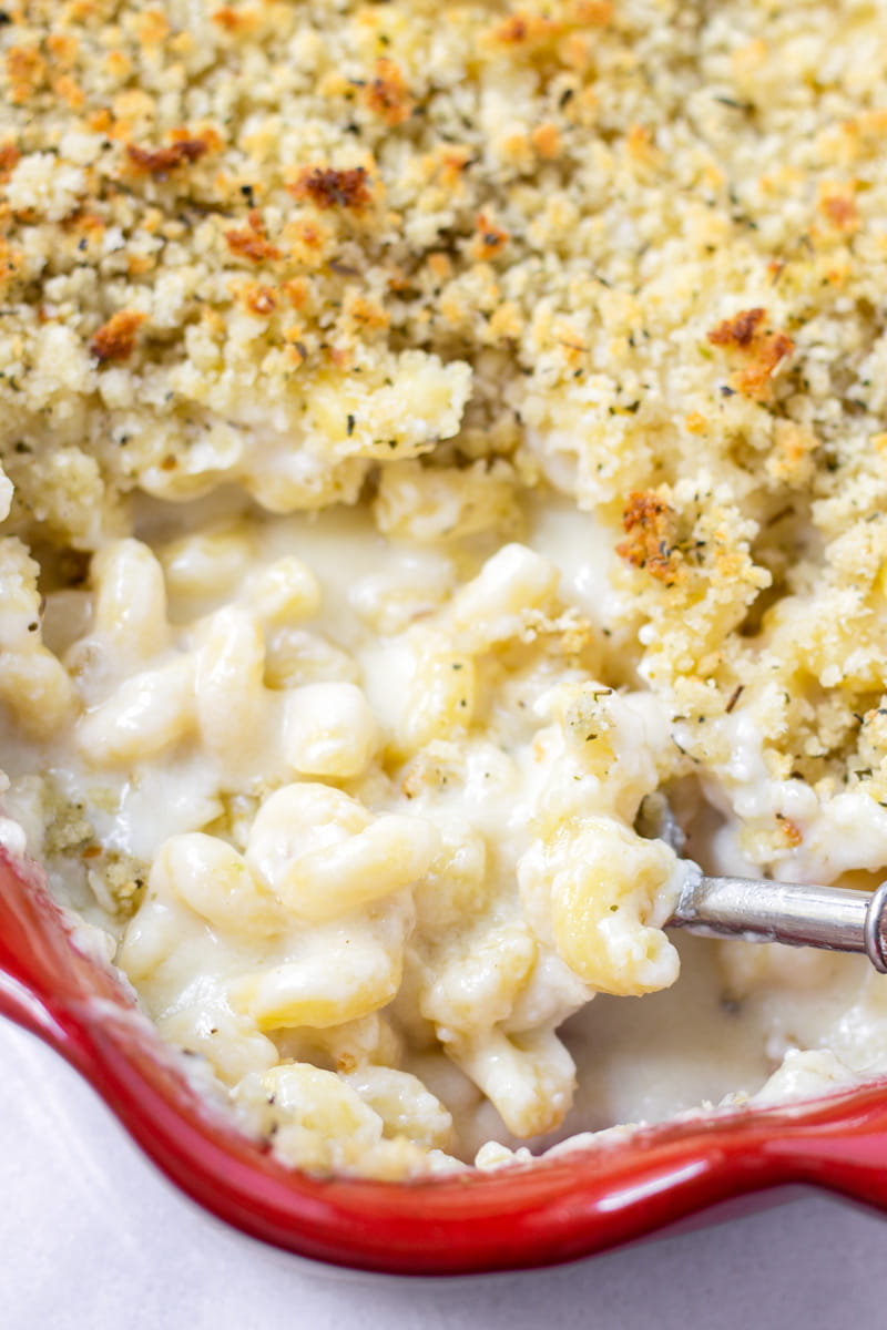 homemade macaroni and cheese with bread crumb topping