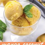 pin image for mango ice cream