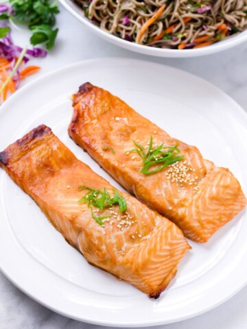 Two filets of Japanese style marinated salmon served on a white plate