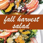 pin image for fall harvest salad recipe