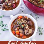 pin image design for beef barley soup