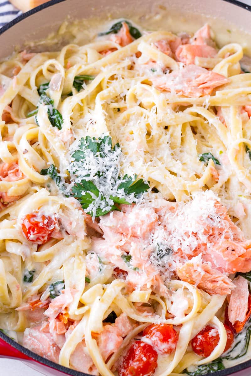 close up of creamy salmon alfredo pasta with tomatoes