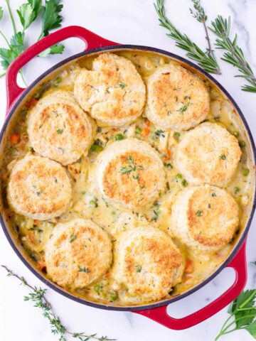 baked buttermilk biscuit chicken pot pie in red dutch oven