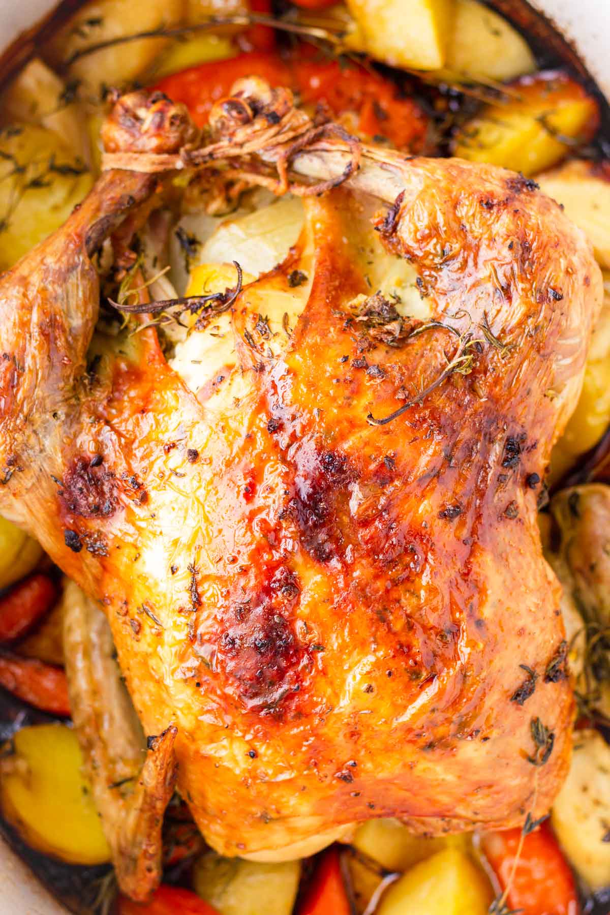 golden brown dutch oven whole chicken roasted