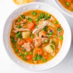 slow cooker chicken stew in a bowl