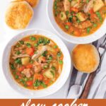 pin image design for slow cooker chicken stew recipe
