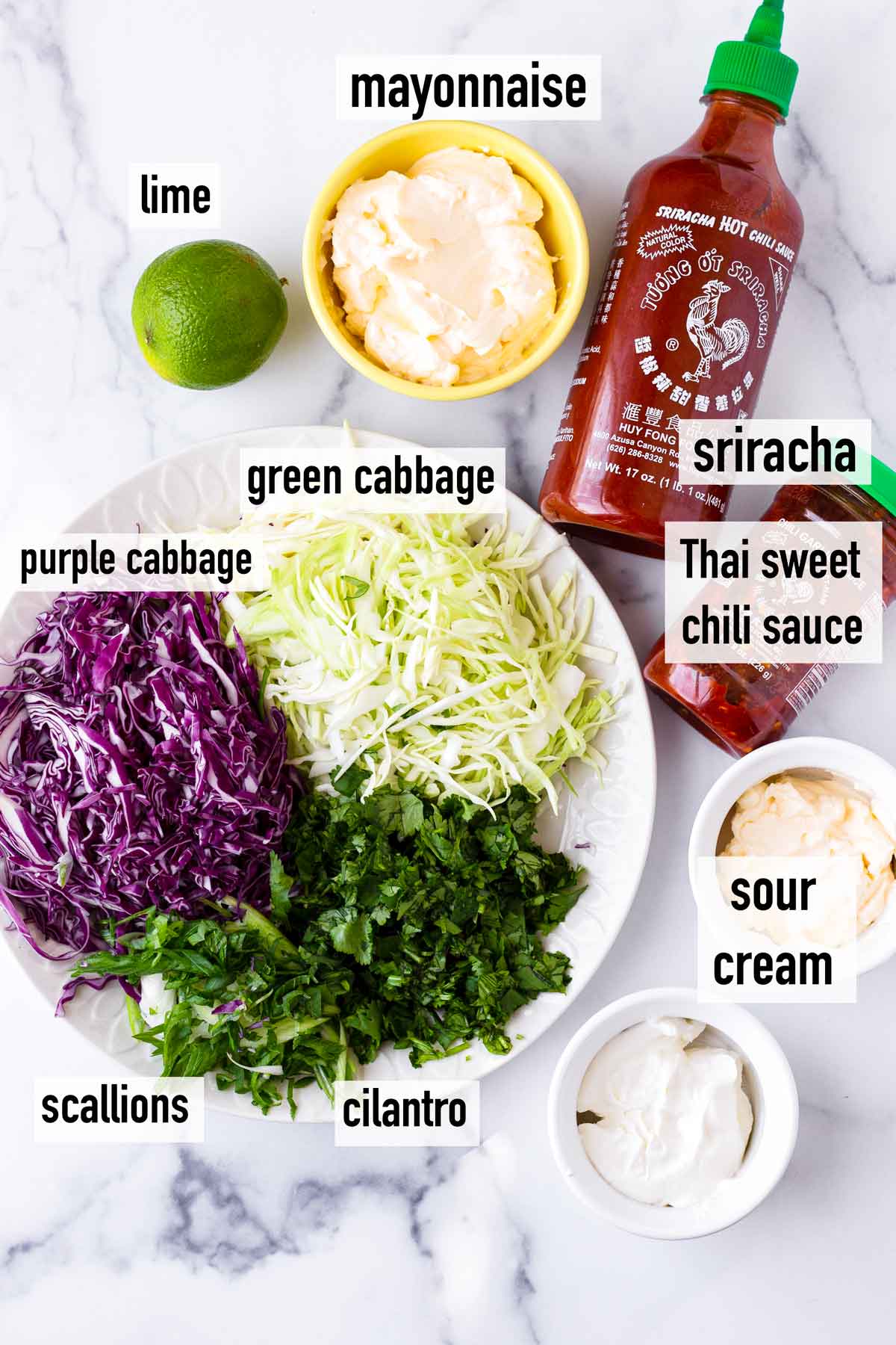 labeled ingredients to make sauce and coleslaw
