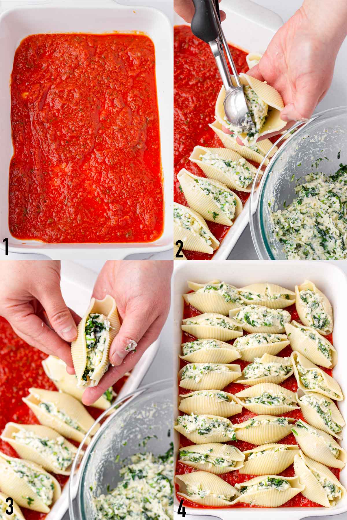 step by step assembling stuffed pasta shells in a baking pan
