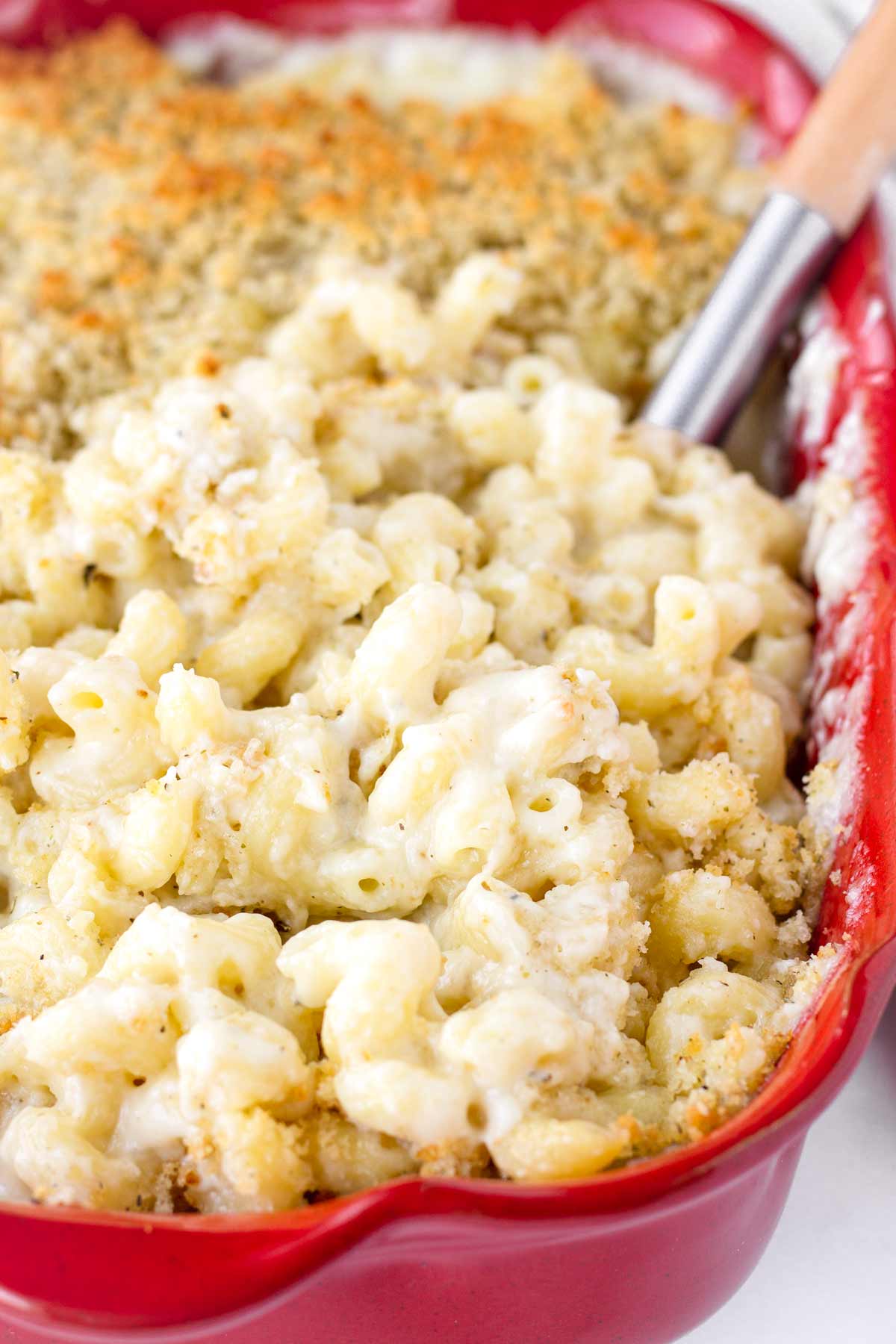 creamy mac and cheese with breadcrumbs