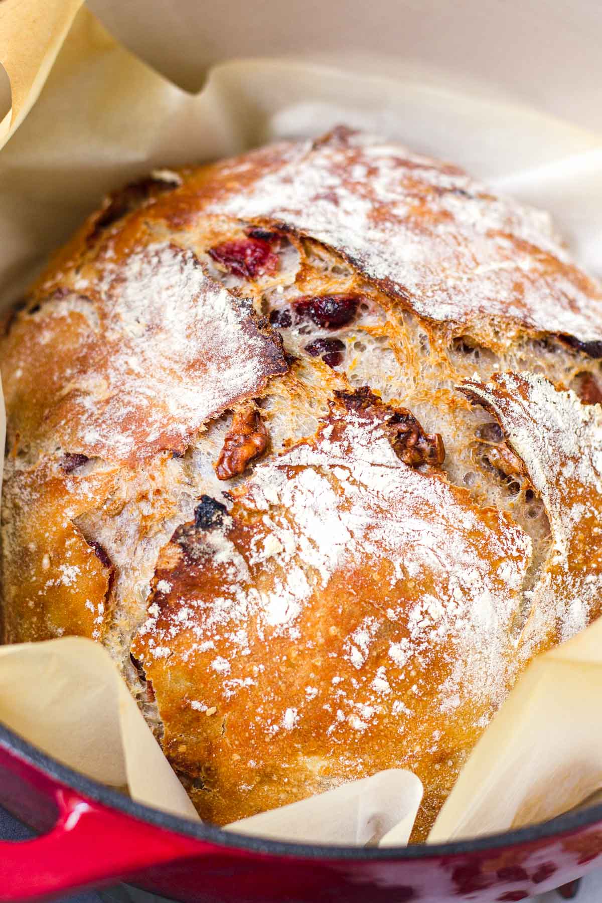 close up of cranberry walnut artisan bread