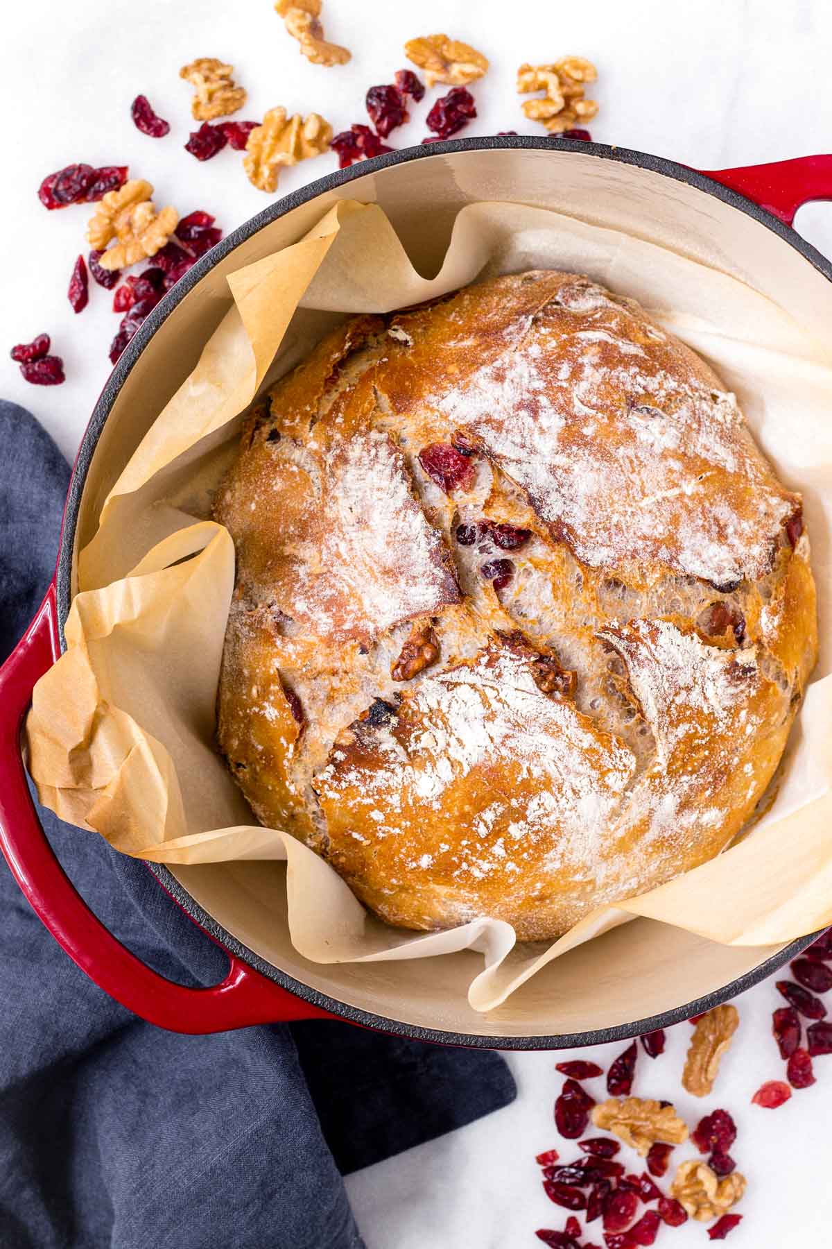 baked artisan cranberry walnut bread in a red dutch oven