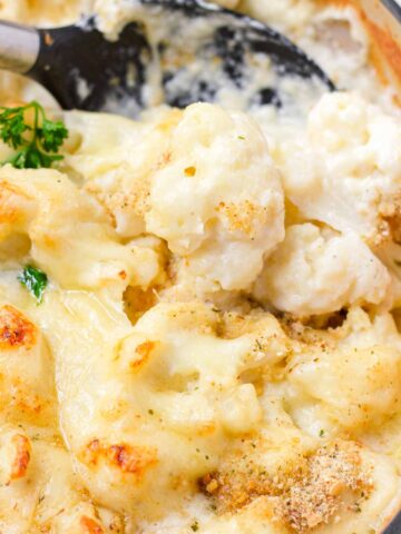 scooping baked cauliflower gratin with spoons