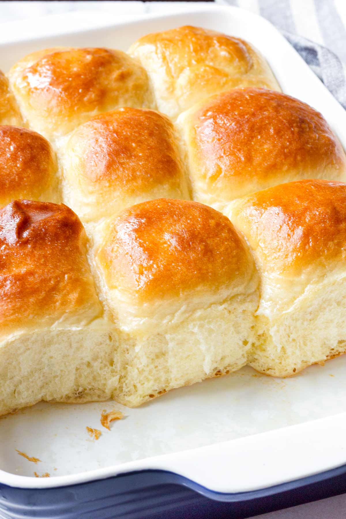 baked honey dinner rolls in a blue baking pan