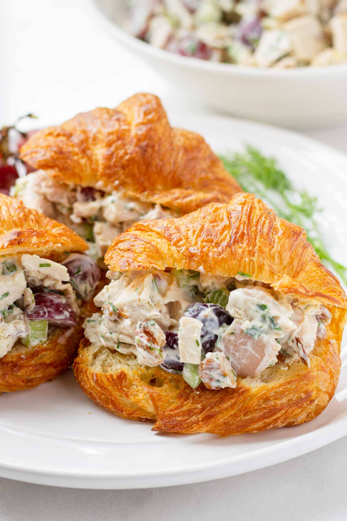 croissants with chicken salad filling