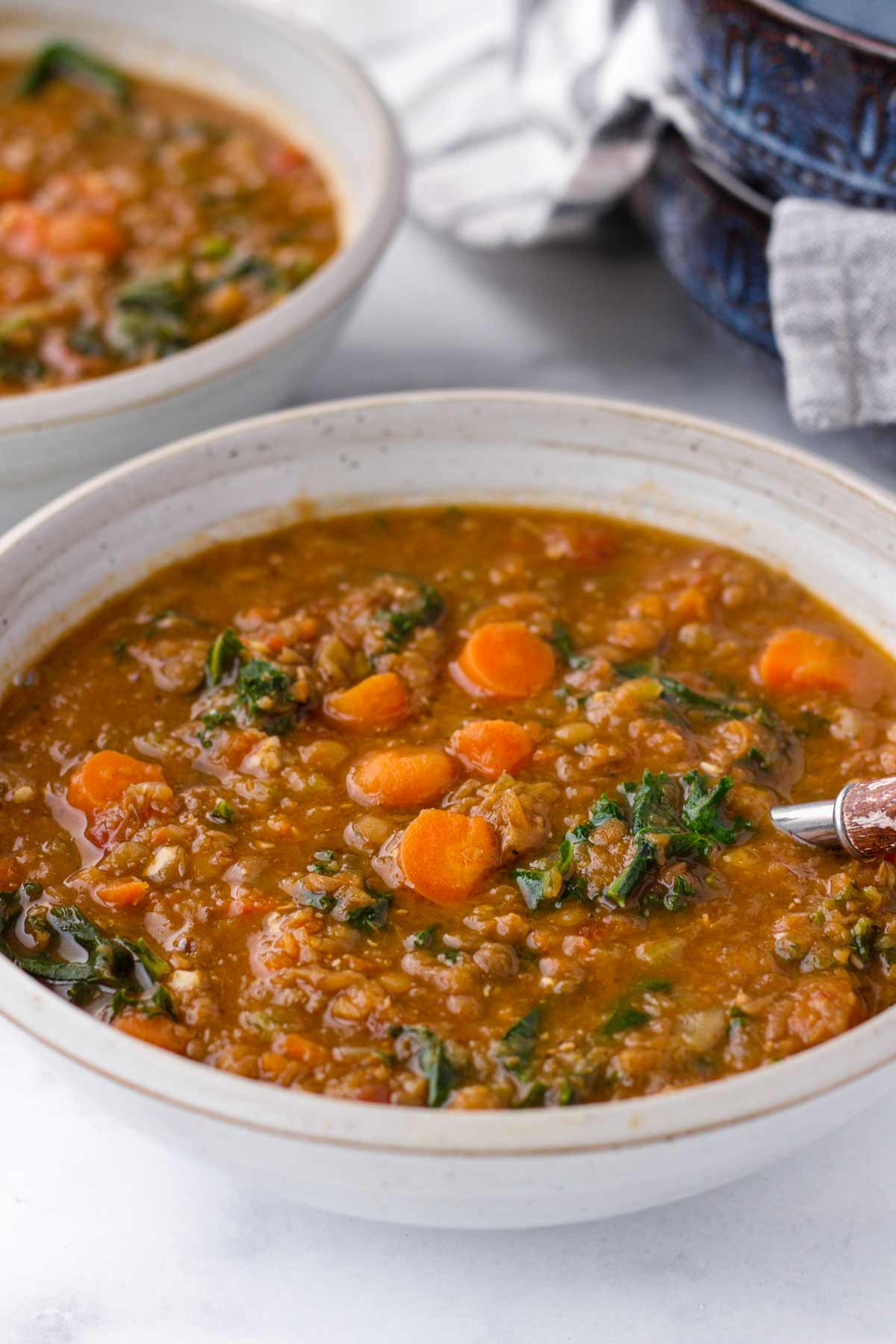 side view of a bowl of lentil soup with hearty vegetables