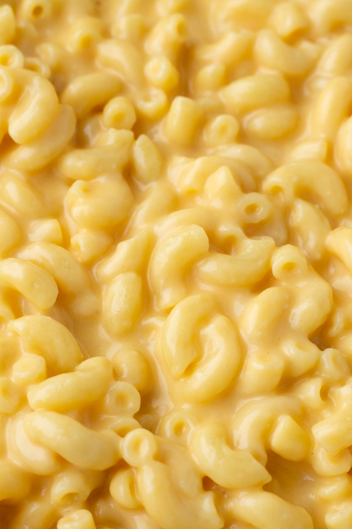 close up of creamy mac and cheese