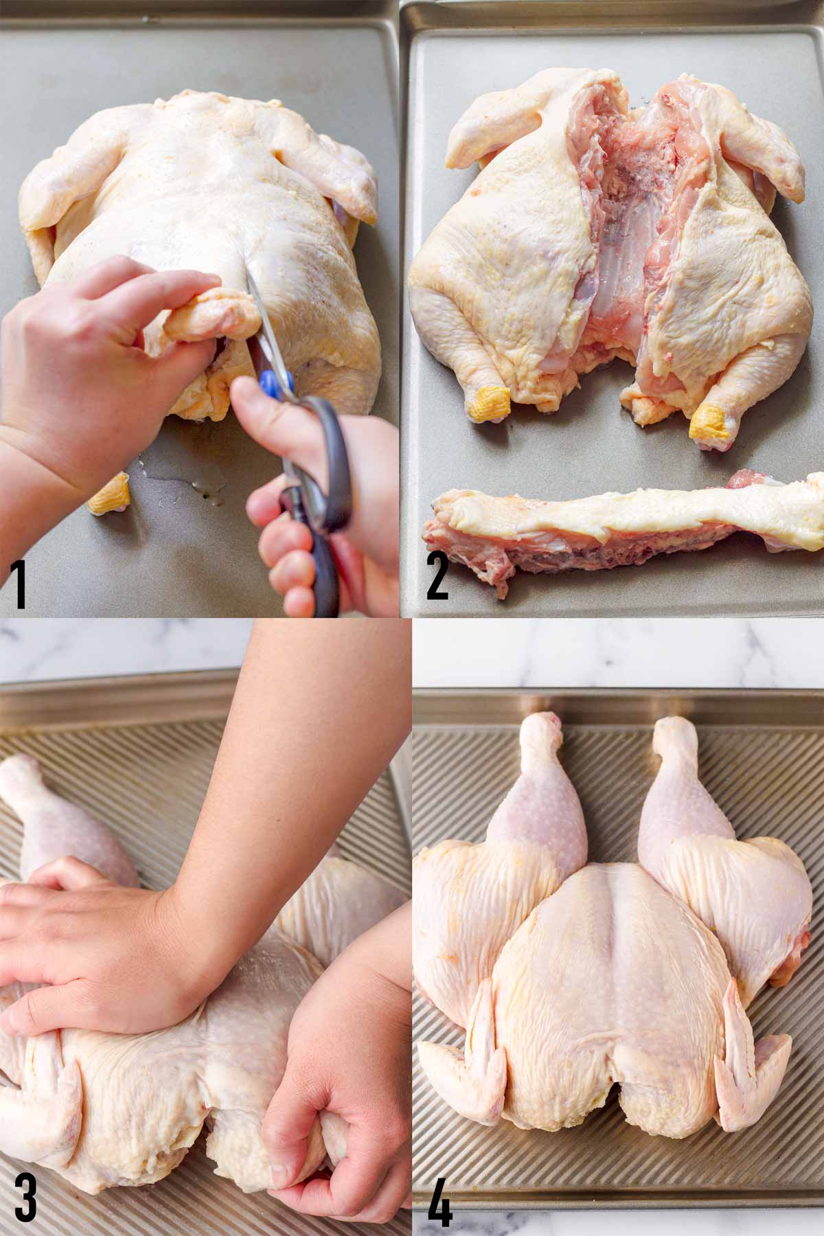 step by step spatchcock whole chicken