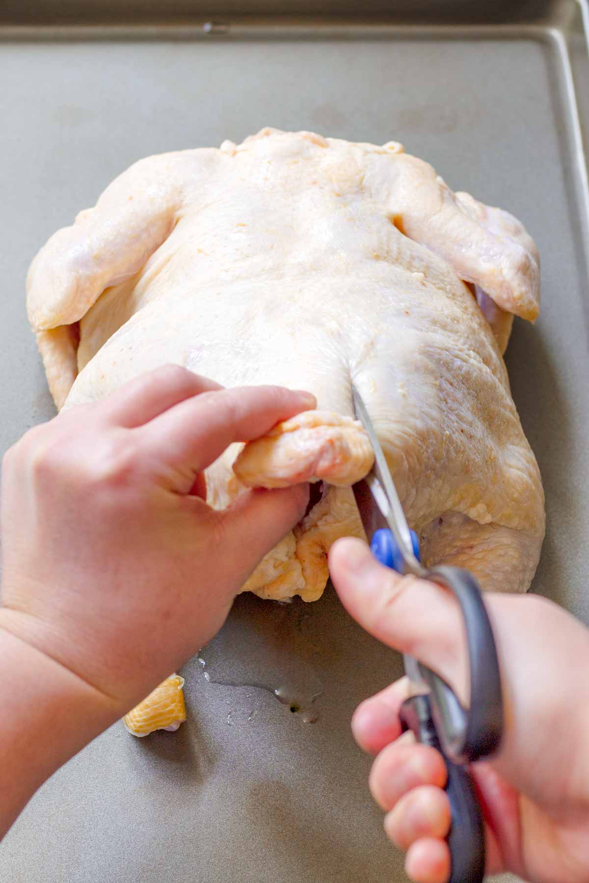 removing backbone of chicken with kitchen shears