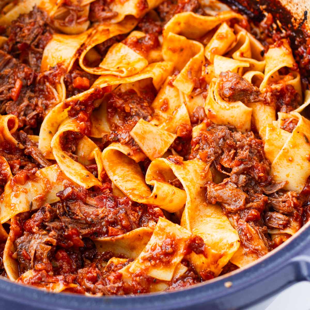 Short Rib Ragu-image