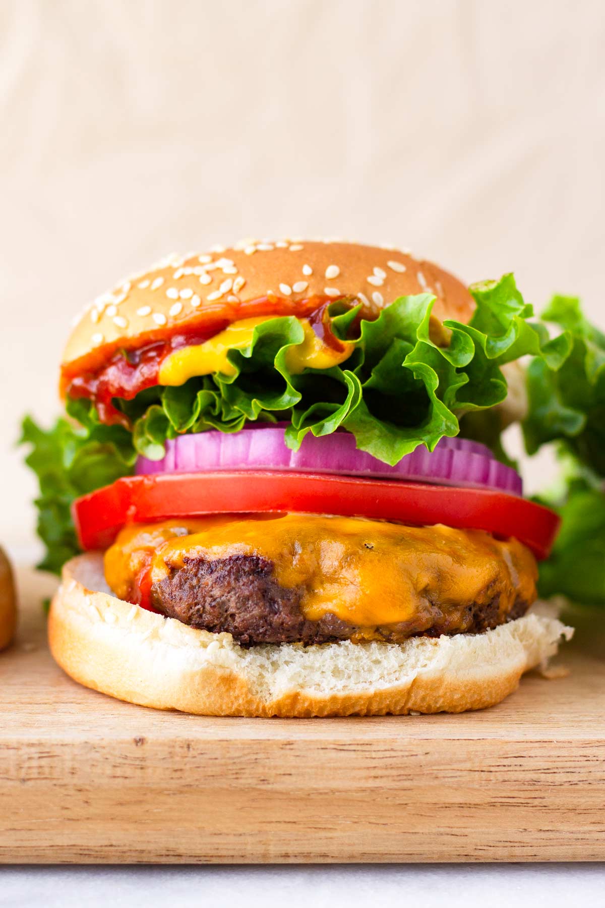 best homemade burger with lettuce, tomato, onions