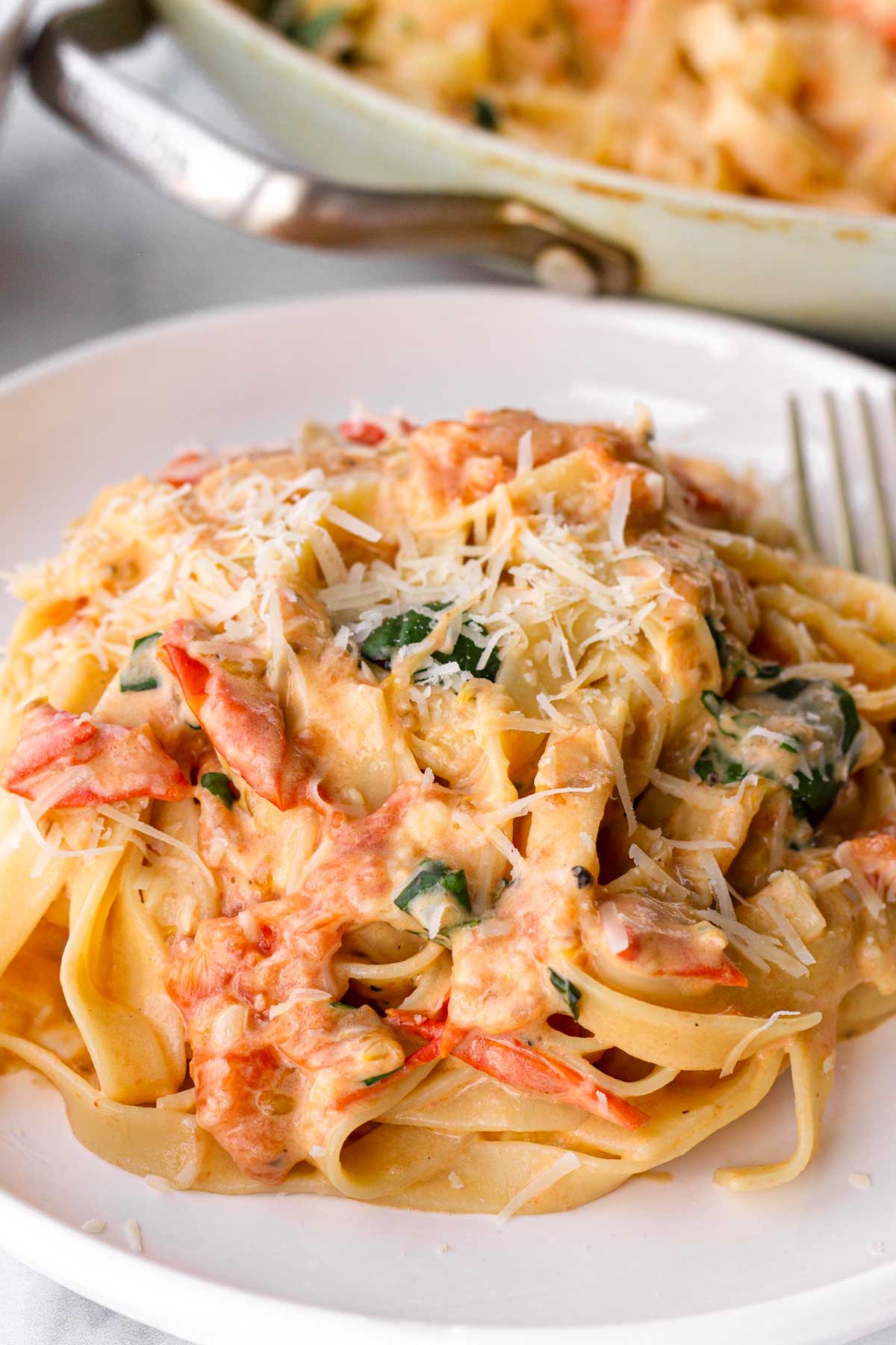 fresh creamy tomato pasta served on an individual plate