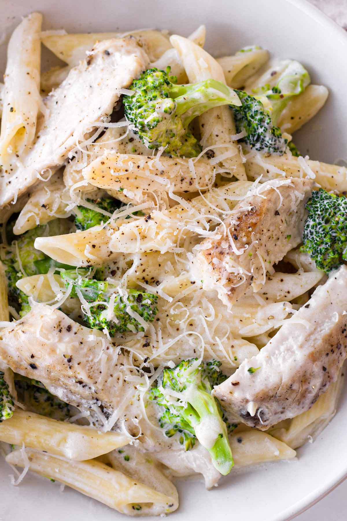 creamy chicken broccoli alfredo close up