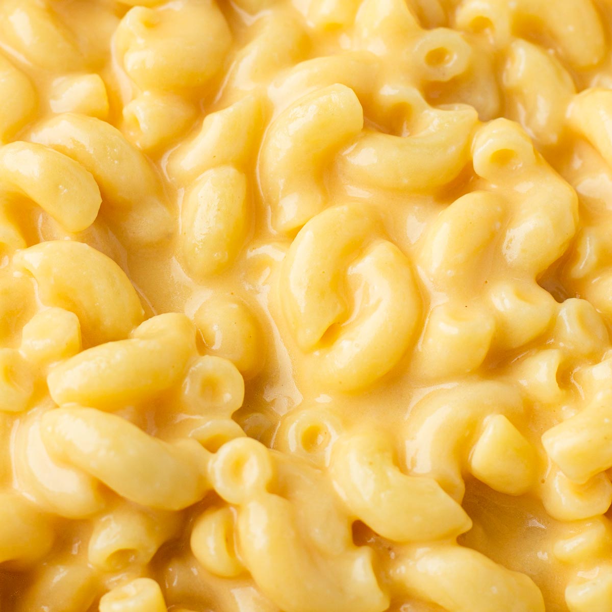 mac and cheese creamy