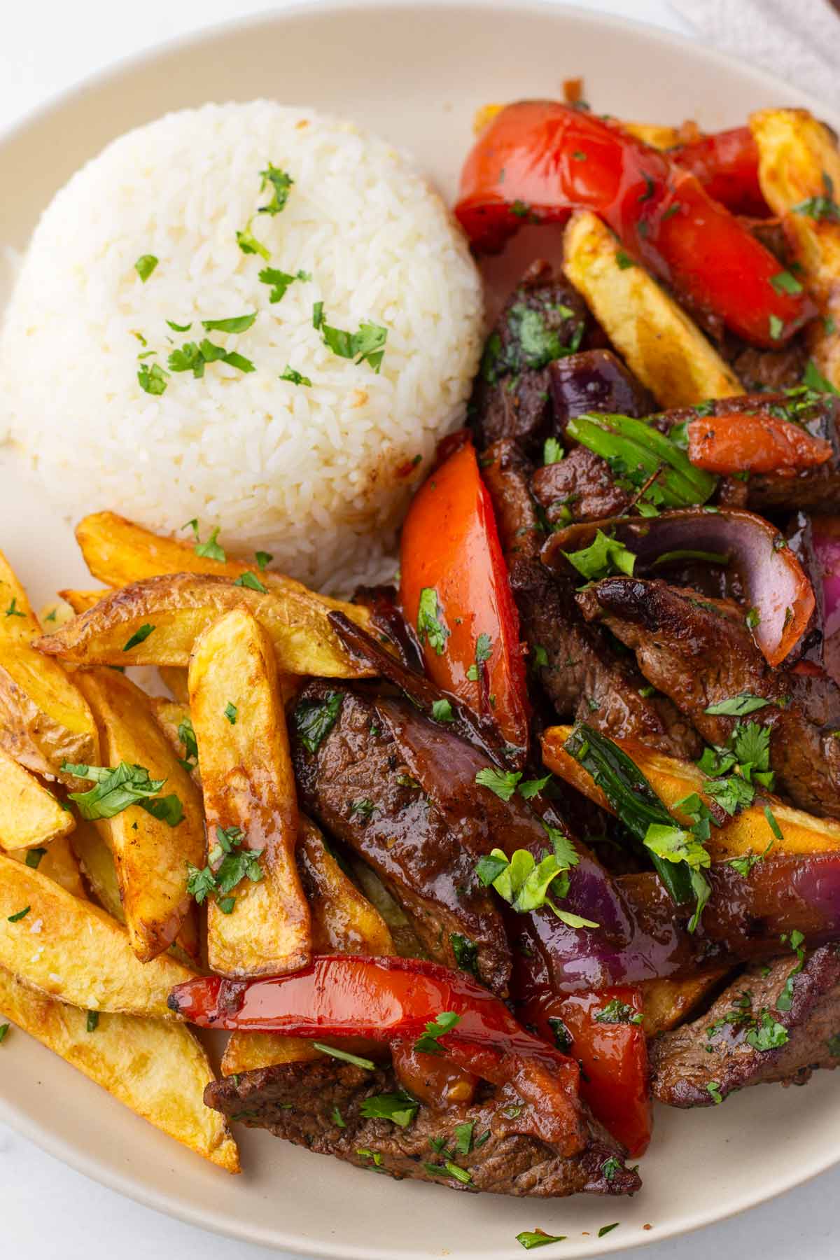 lomo saltado with rice and fries