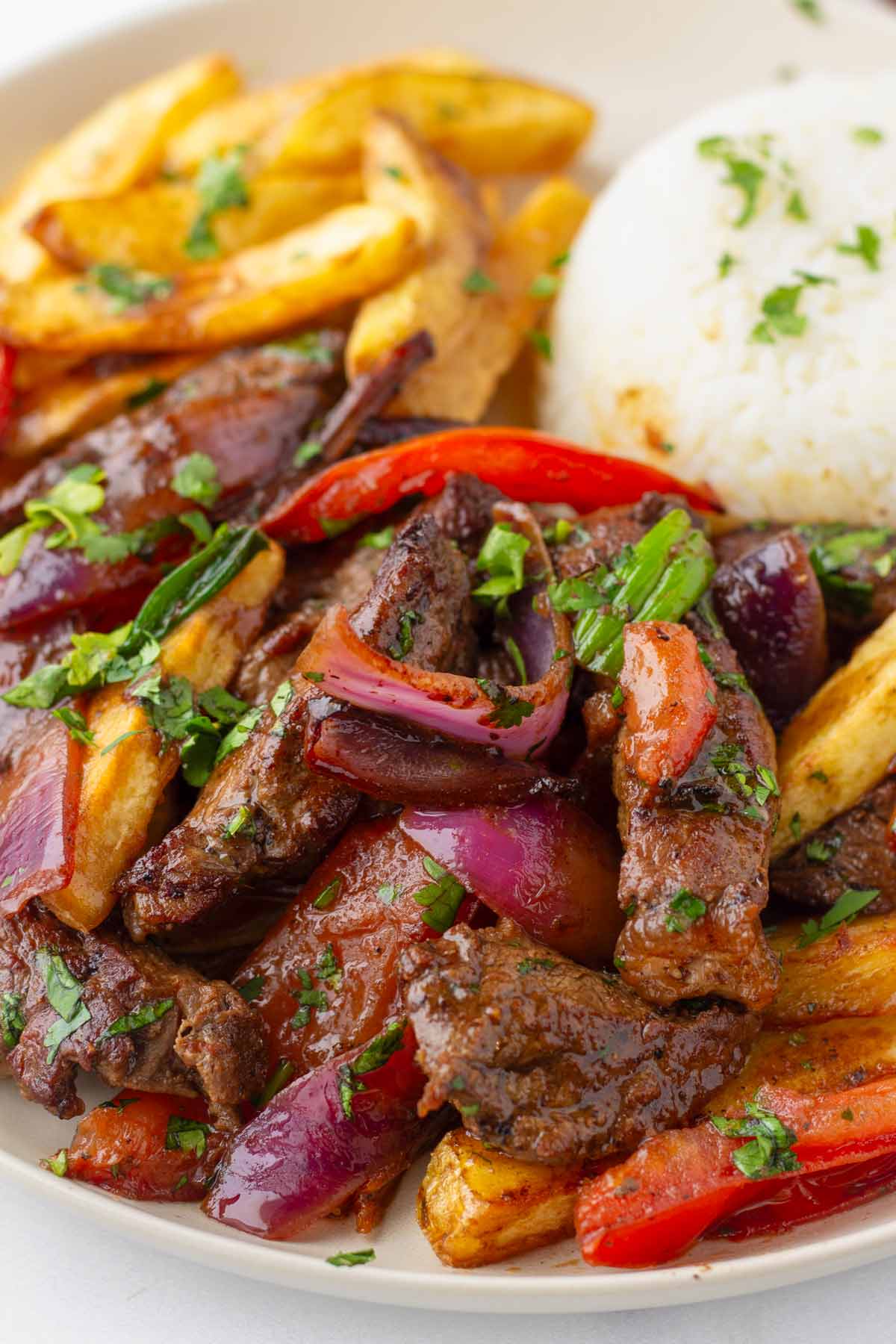 lomo saltado dish with onions and tomatoes