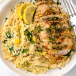 lemon chicken orzo with garnish