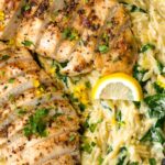 creamy chicken orzo with spinach and lemon