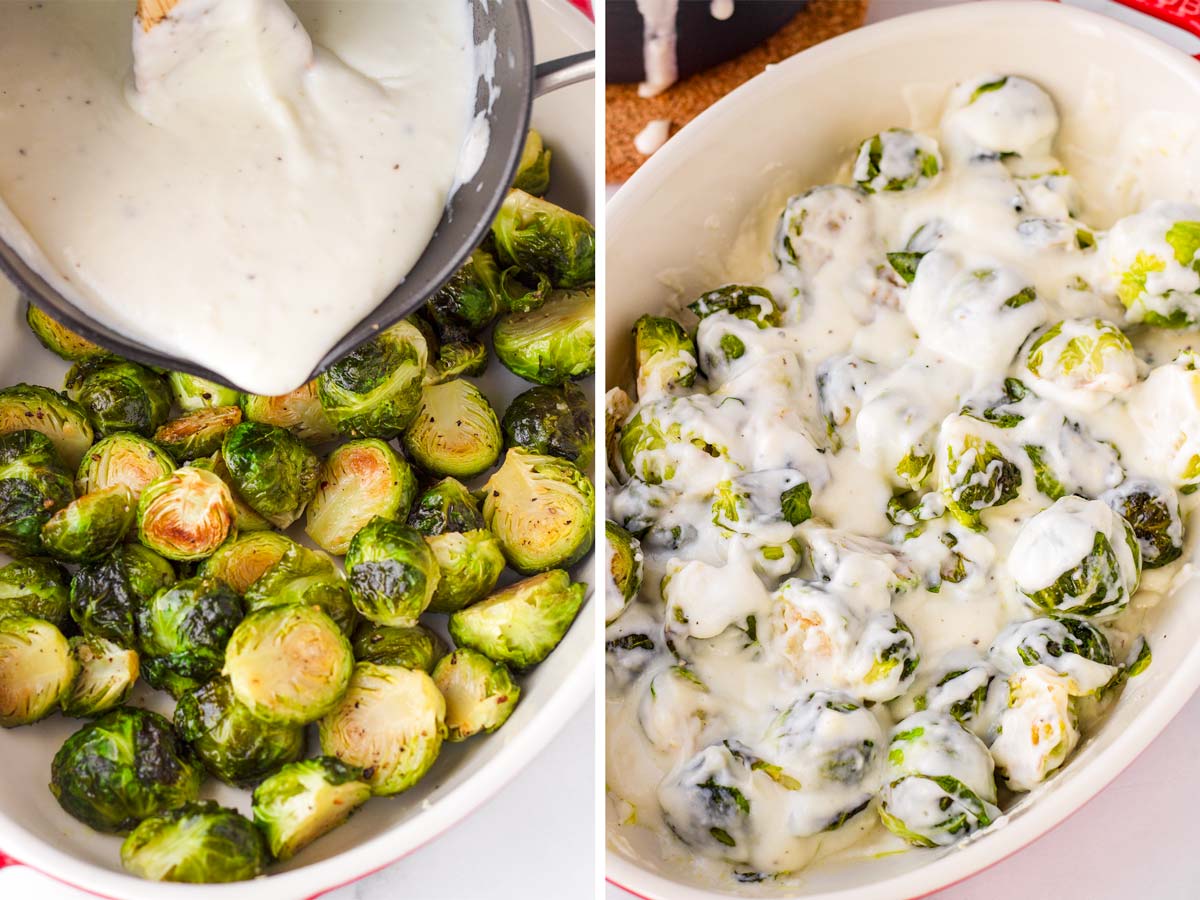 adding cheese sauce to the baking dish