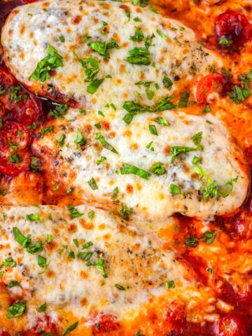 golden brown and cheesy chicken mozzarella