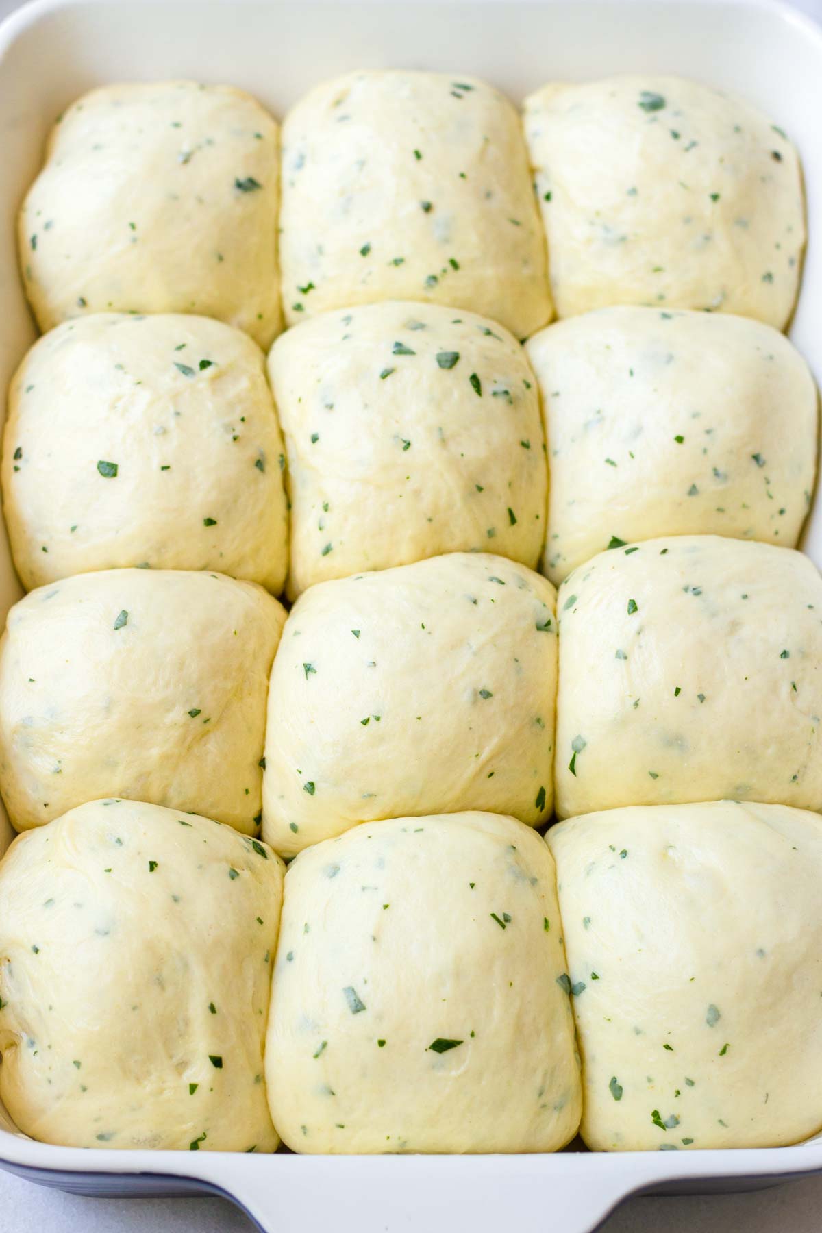 risen shaped dough before baking