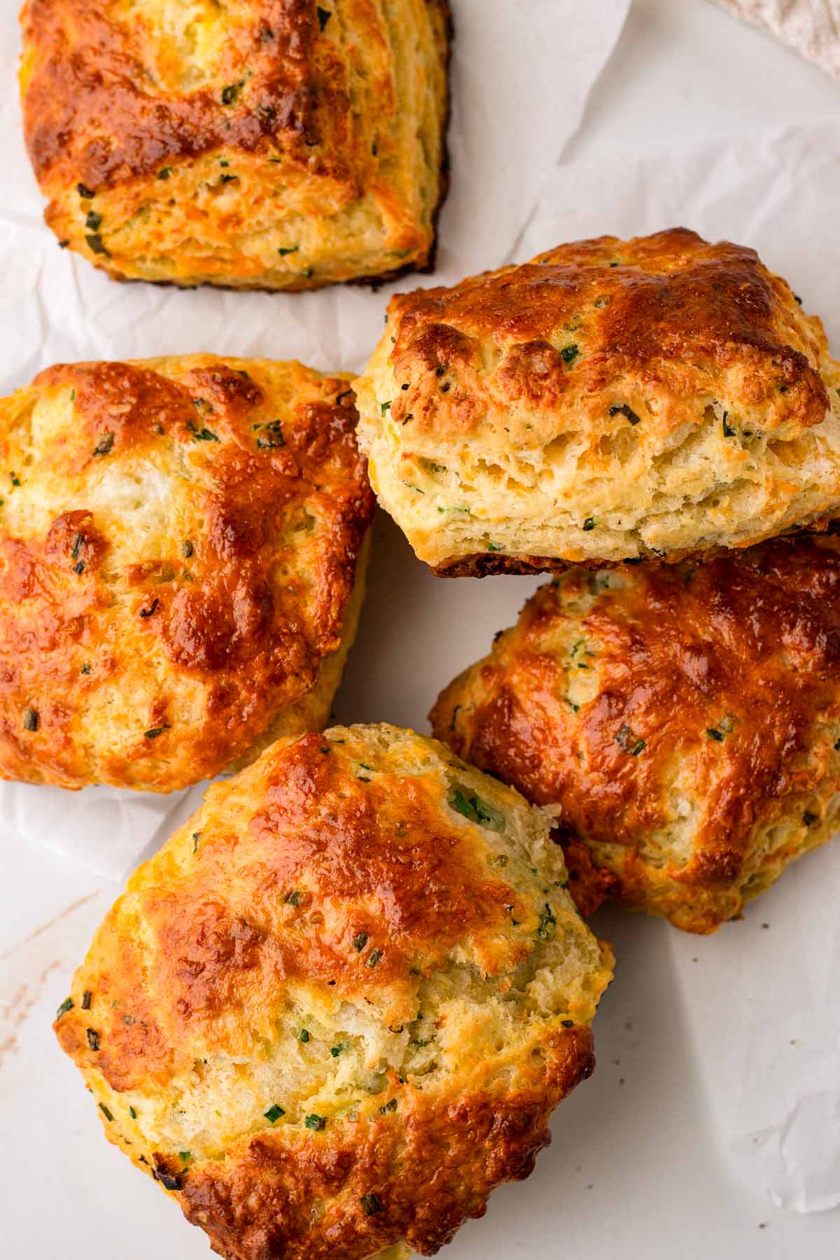 cheddar biscuits with golden brown tops