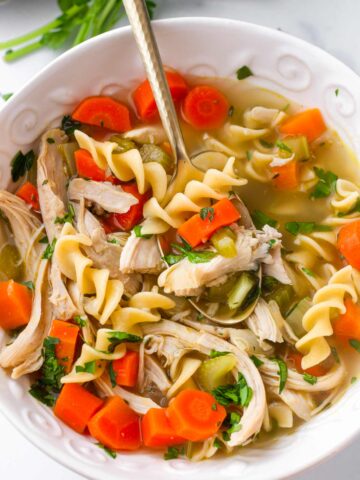 bowl of rotisserie chicken noodle soup