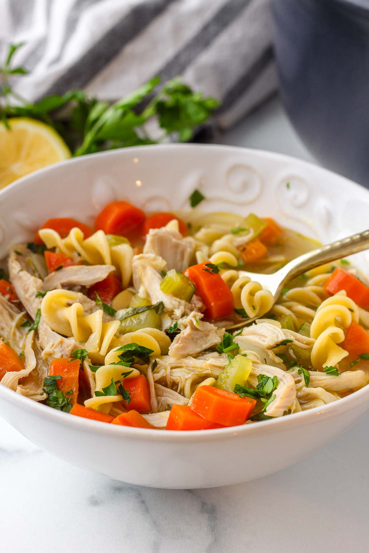 rotisserie chicken noodle soup