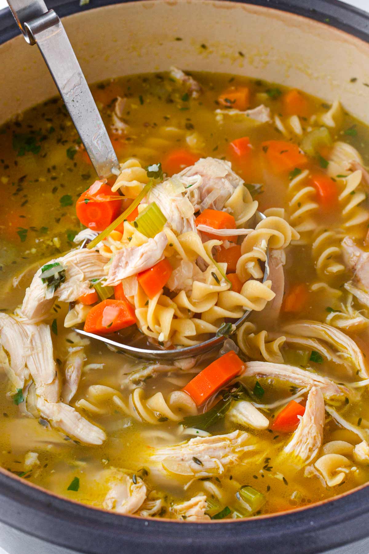 chicken and egg noodle soup in dutch oven