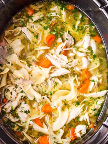 slow cooker chicken noodle soup