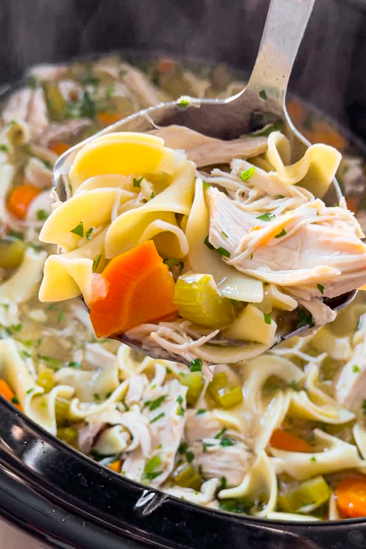 a ladle of chicken soup with noodles