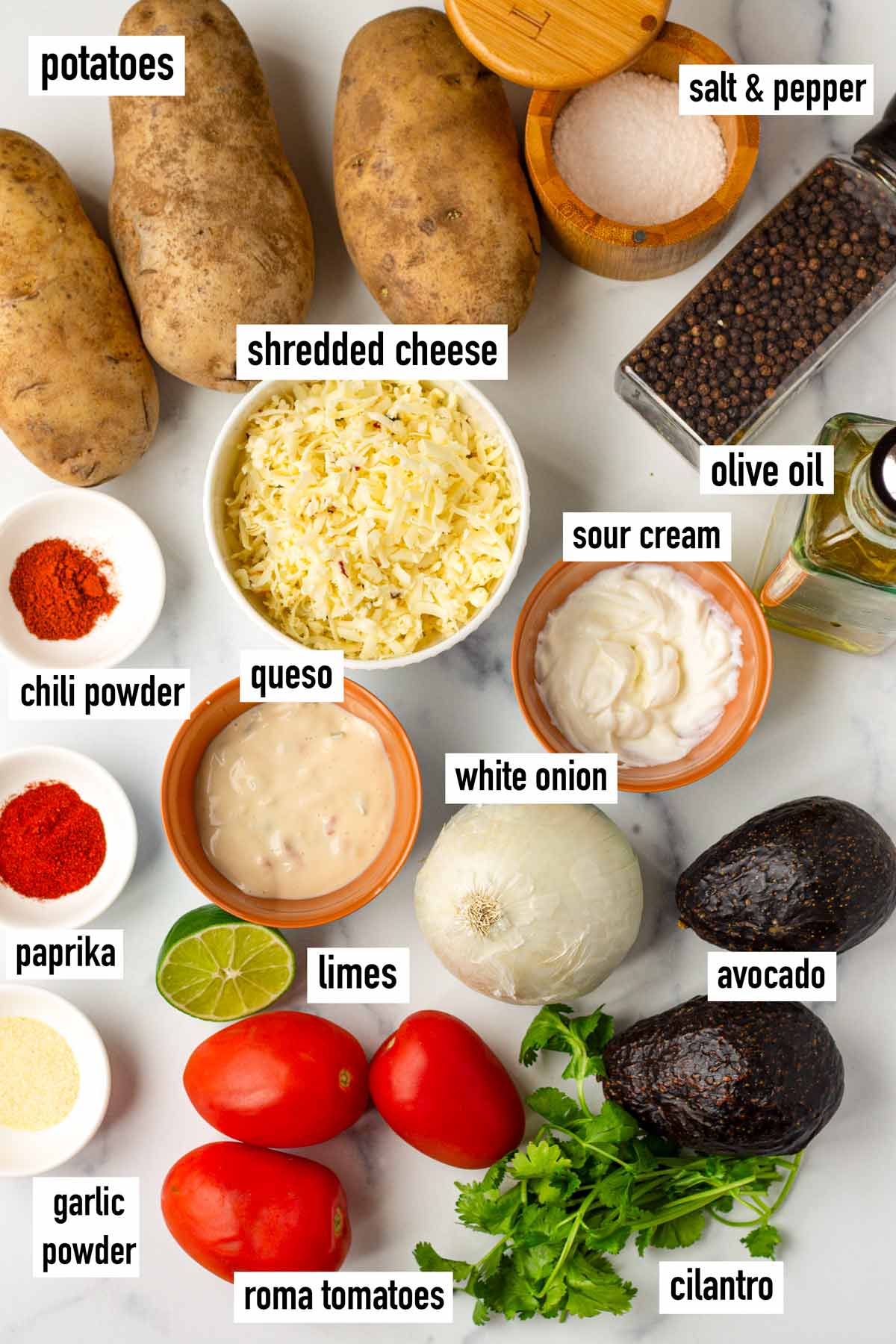 labeled ingredients for carne asada fries