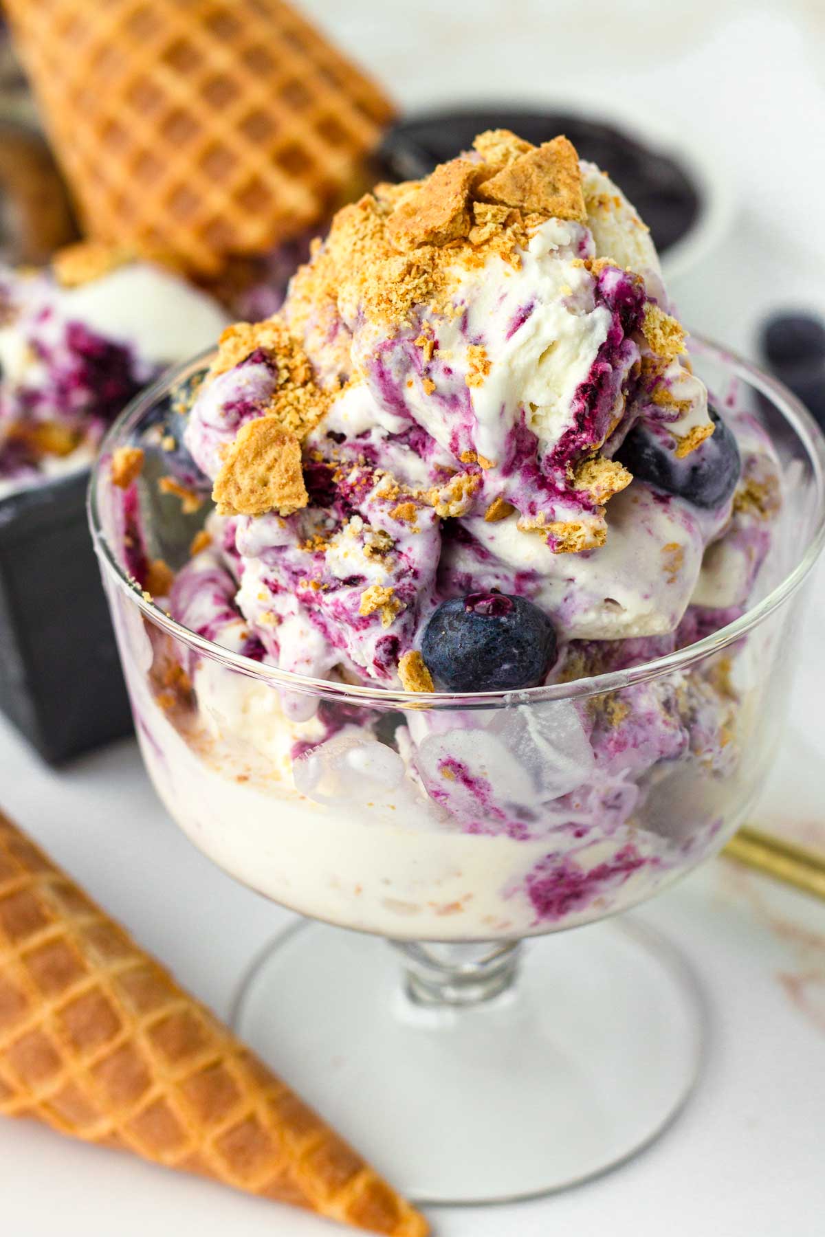 a serving of blueberry cheesecake ice cream with graham cracker topping