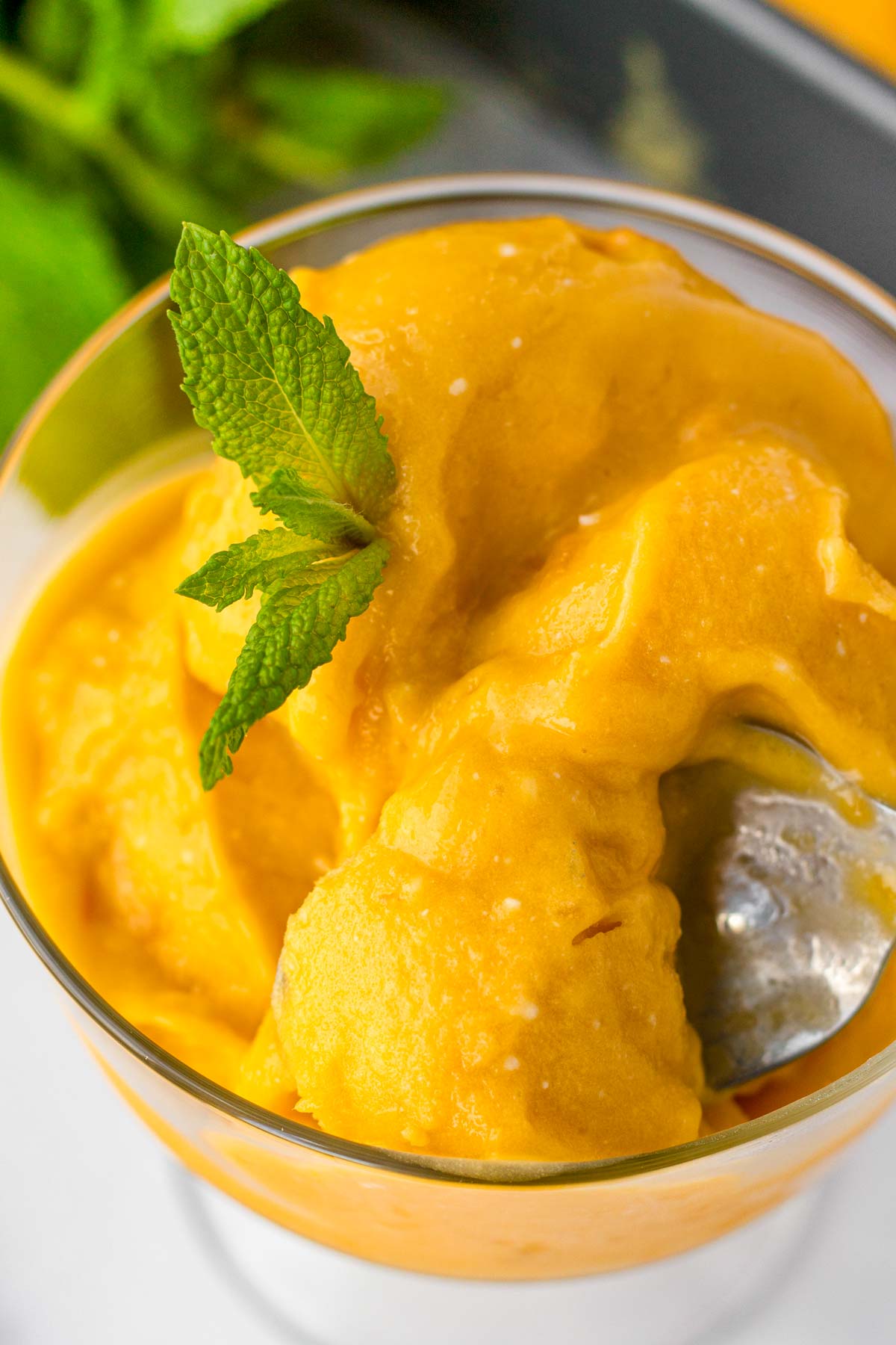 serving mango coconut sorbet with mint garnish