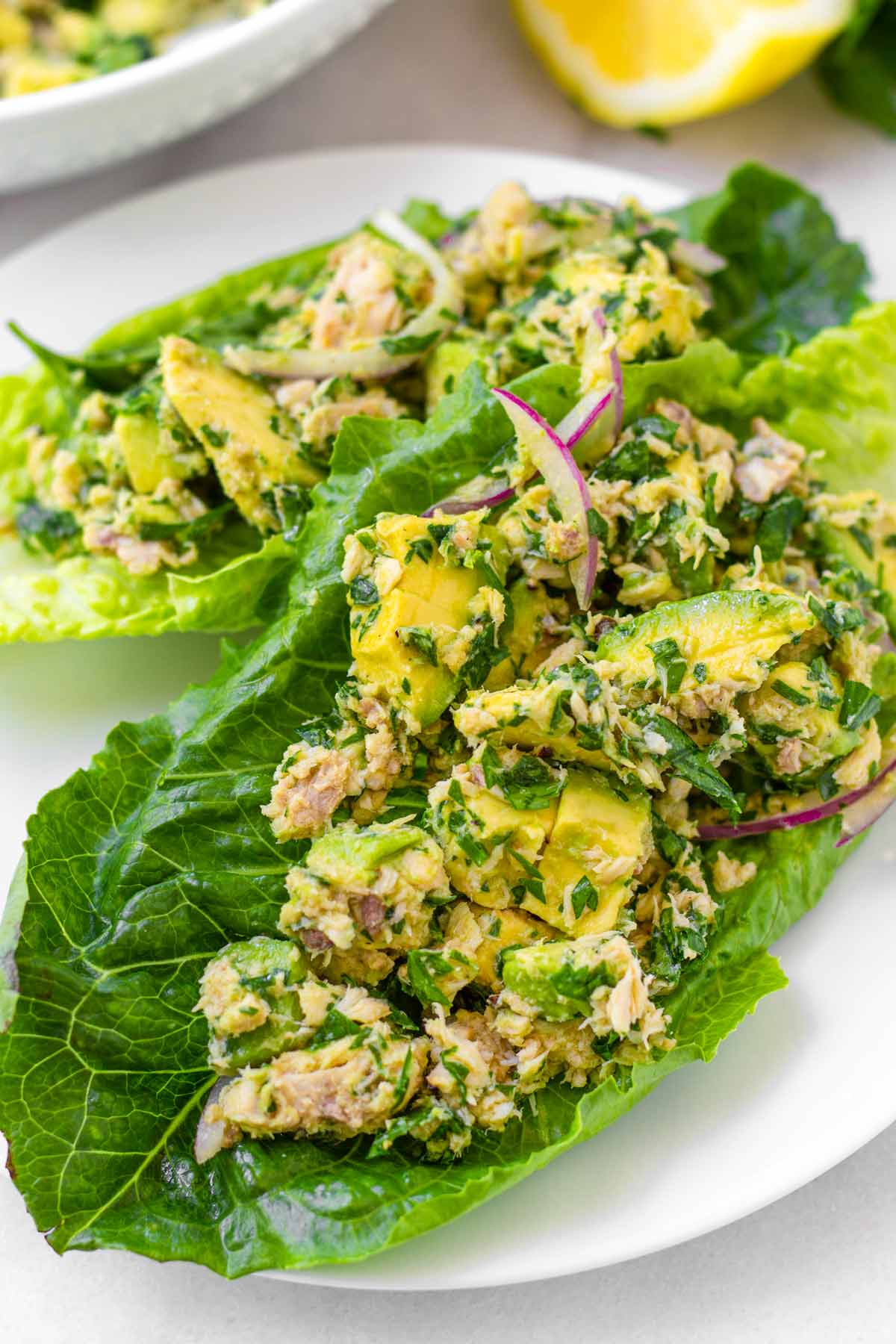 avocado tuna salad on romaine lettuce hearts