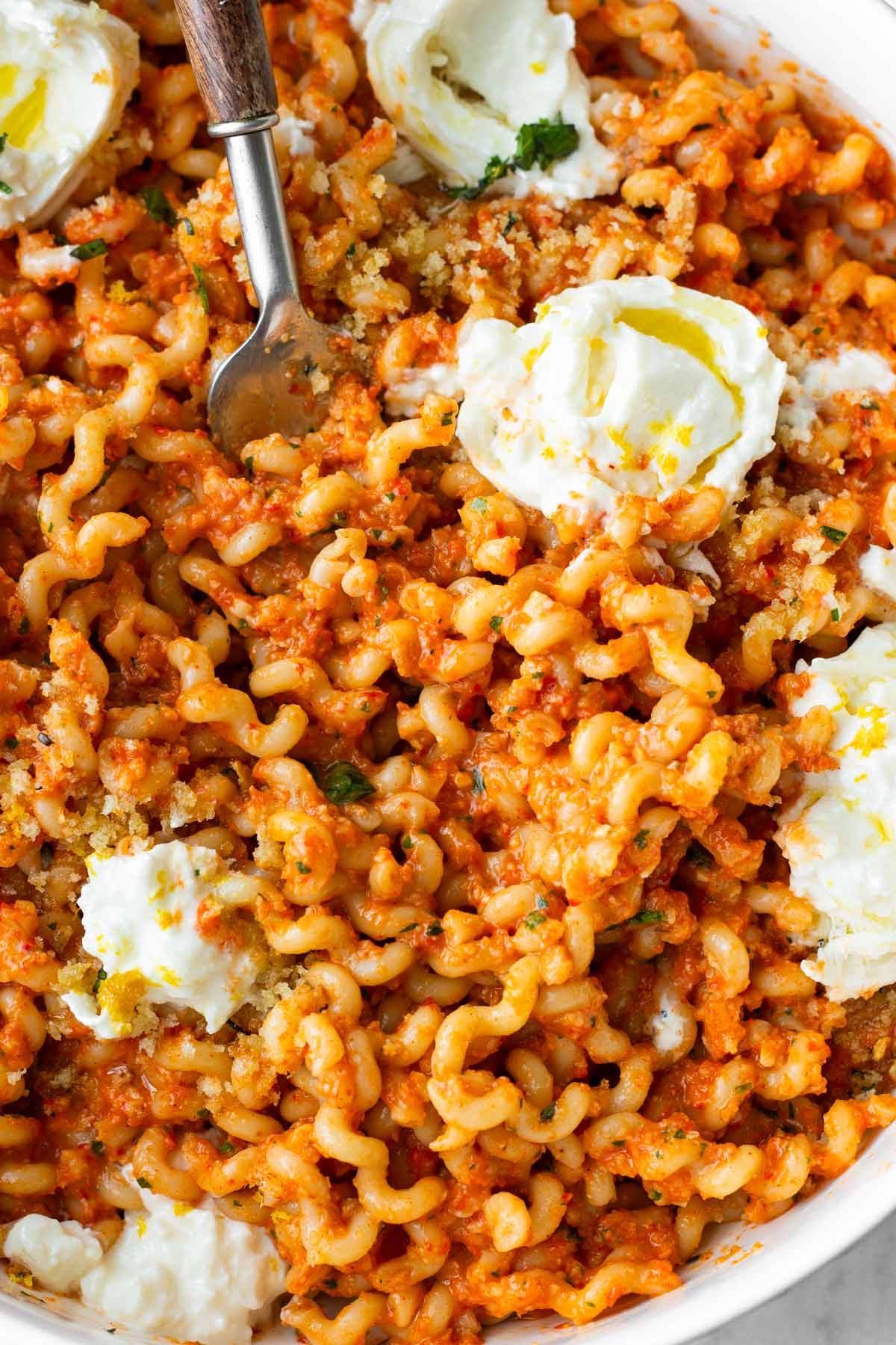 romesco sauce curly pasta with burrata