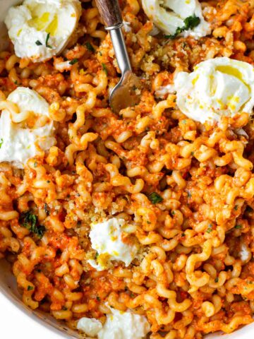 romesco pasta topped with burrata cheese and olive oil