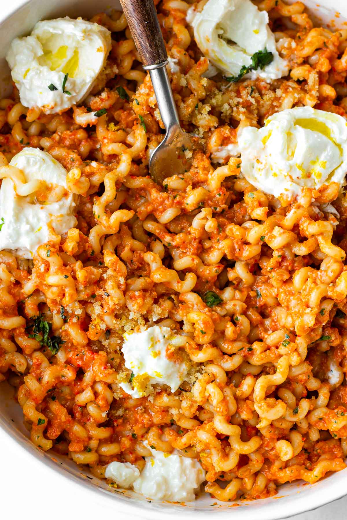 romesco pasta topped with burrata cheese and olive oil