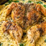 herb spatchcock chicken with creamy orzo