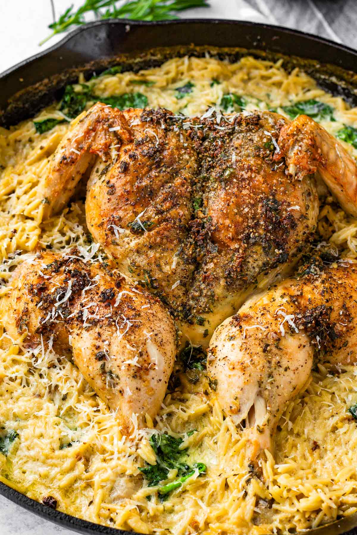 spatchcock herb chicken with creamy orzo in a cast iron skillet